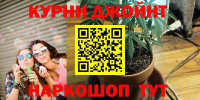 прущие крисы Гай