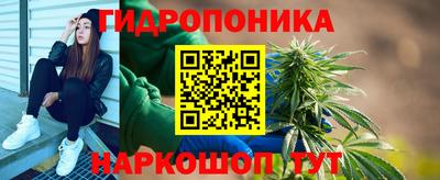прущие грибы Краснодар