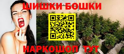 прущие грибы Краснодар