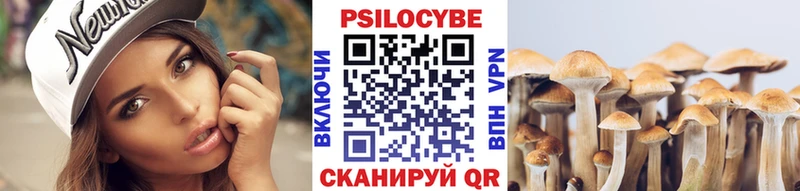 Галлюциногенные грибы прущие грибы  блэк спрут ТОР  Дальнереченск  где найти наркотики 