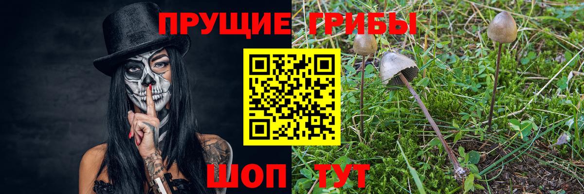 Галлюциногенные грибы MAGIC MUSHROOMS  Псилоцибиновые грибы MAGIC MUSHROOMS  Дальнереченск 