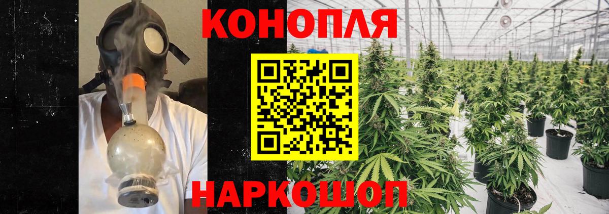 Каннабис семена Дальнереченск